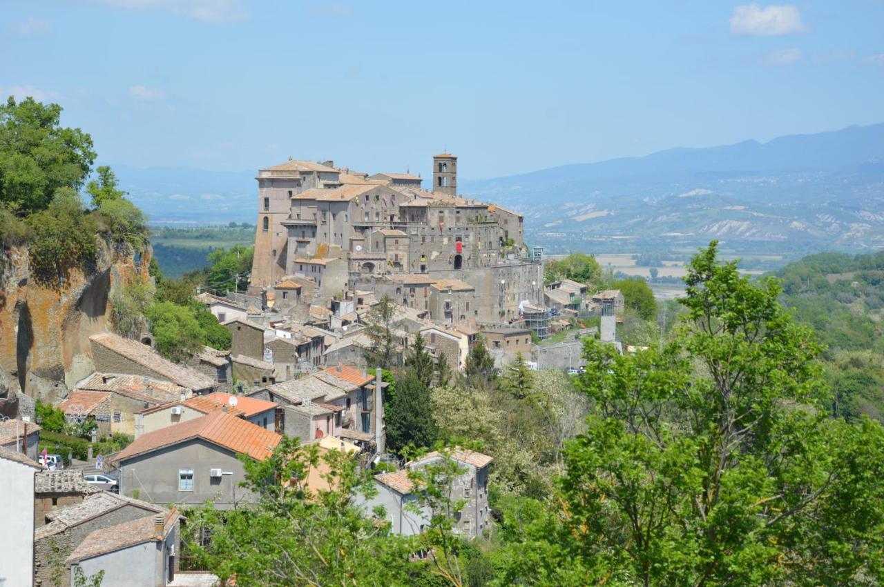 بومارزو B&B Il Grifo المظهر الخارجي الصورة
